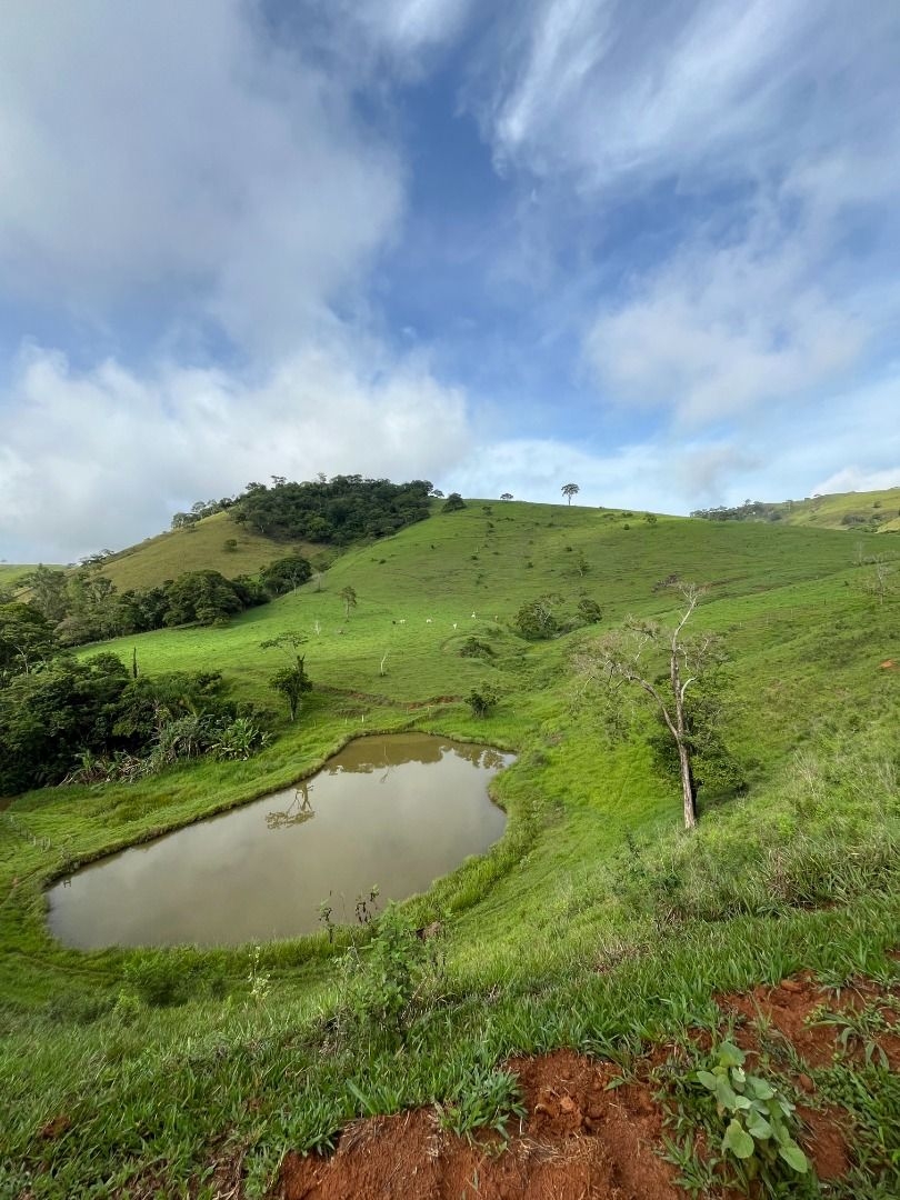 Fazenda em Leopoldina/Minas Gerais — Ref C72TO6 — Imagem 5