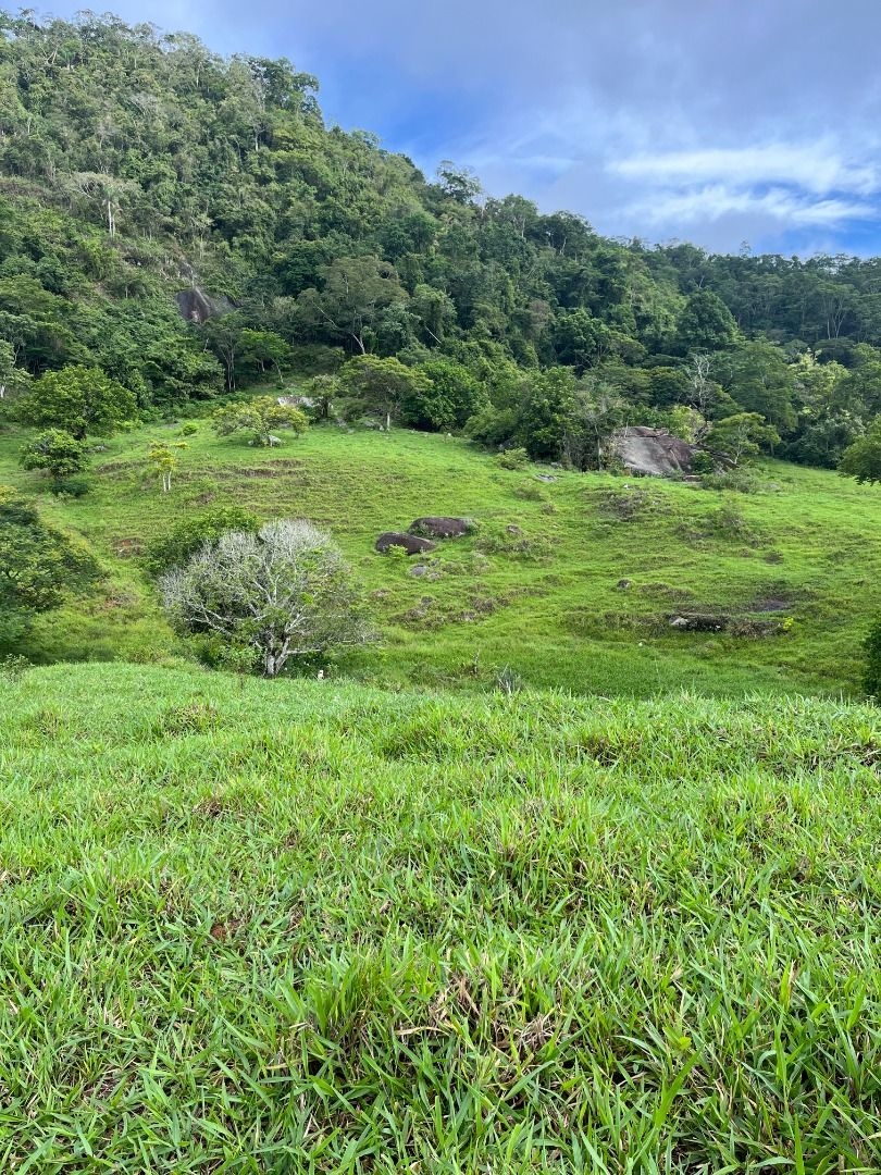 Fazenda em Leopoldina/Minas Gerais — Ref C72TO6 — Imagem 7