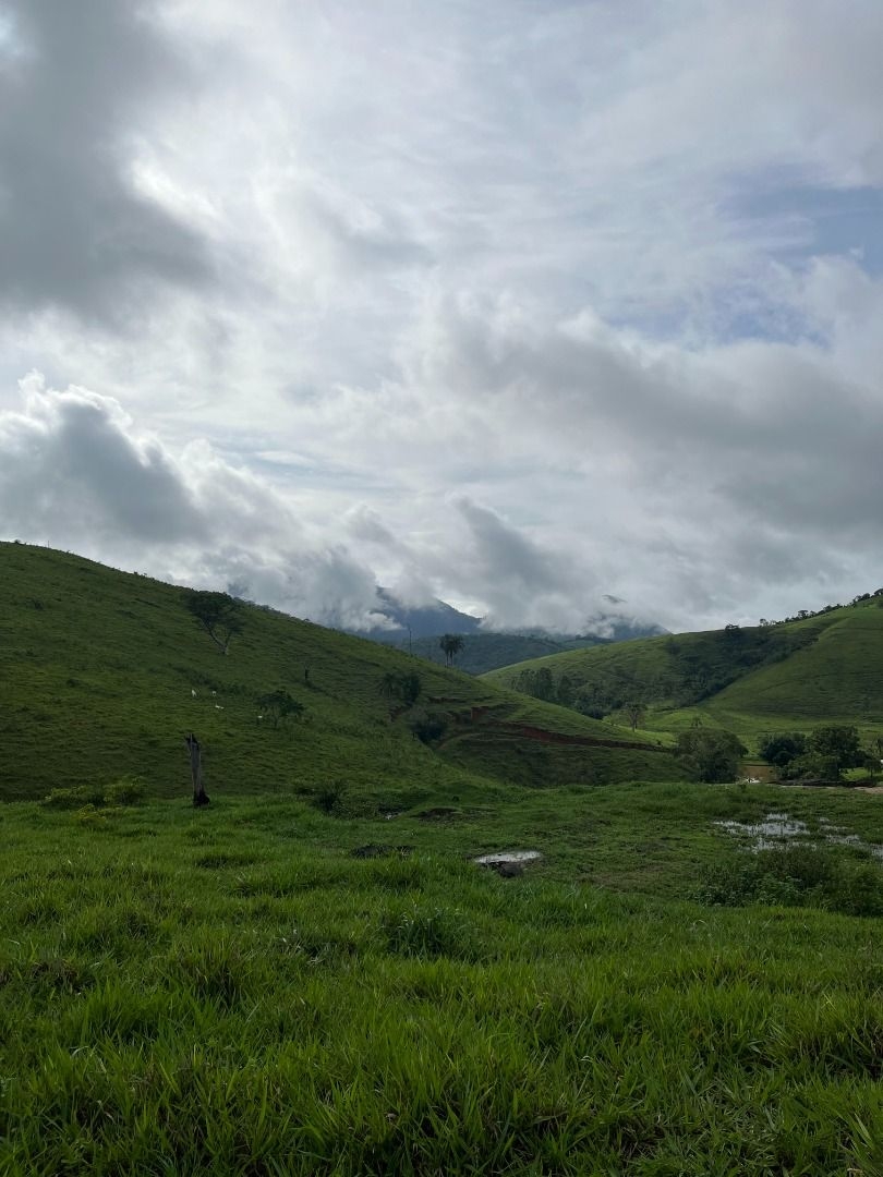 Fazenda em Leopoldina/Minas Gerais — Ref C72TO6 — Imagem 13