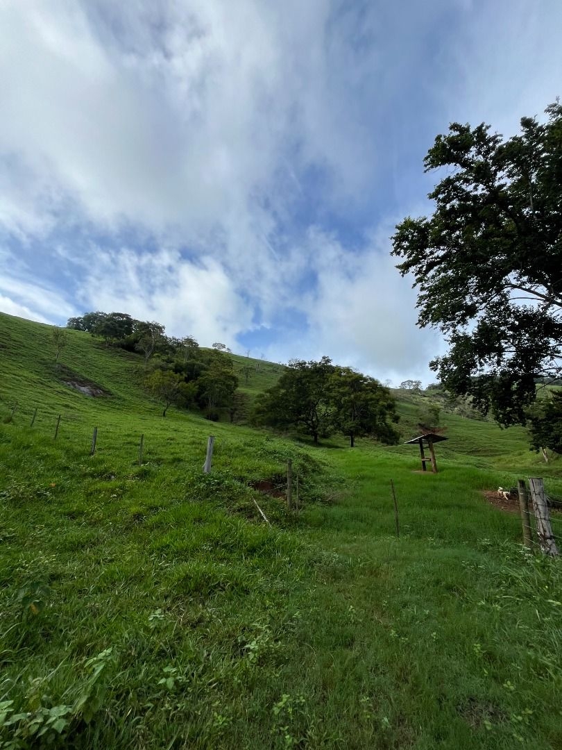 Fazenda em Leopoldina/Minas Gerais — Ref C72TO6 — Imagem 19