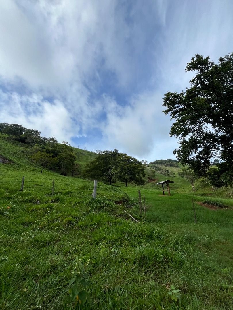 Fazenda em Leopoldina/Minas Gerais — Ref C72TO6 — Imagem 20