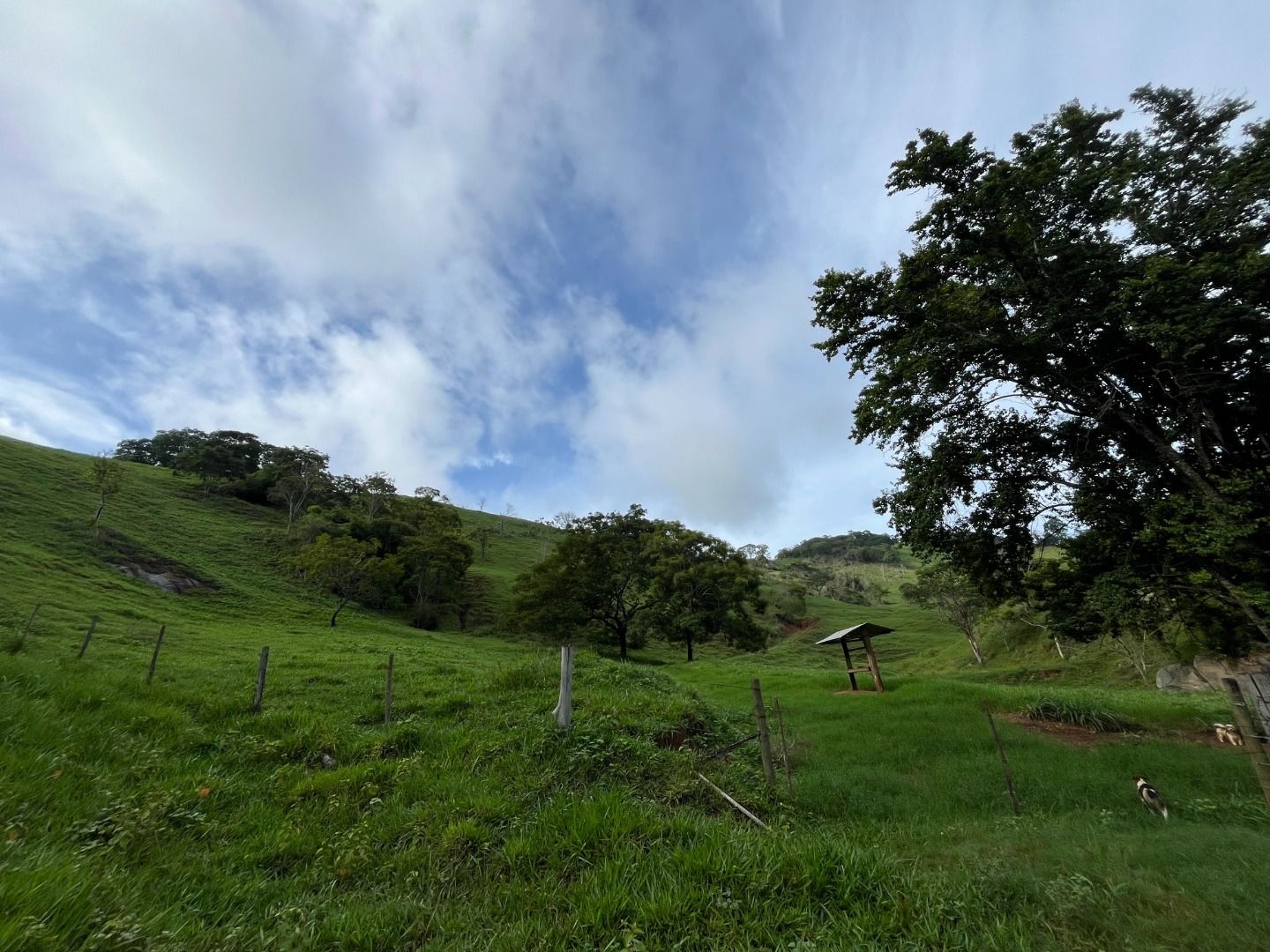 Fazenda em Leopoldina/Minas Gerais — Ref C72TO6 — Imagem 21