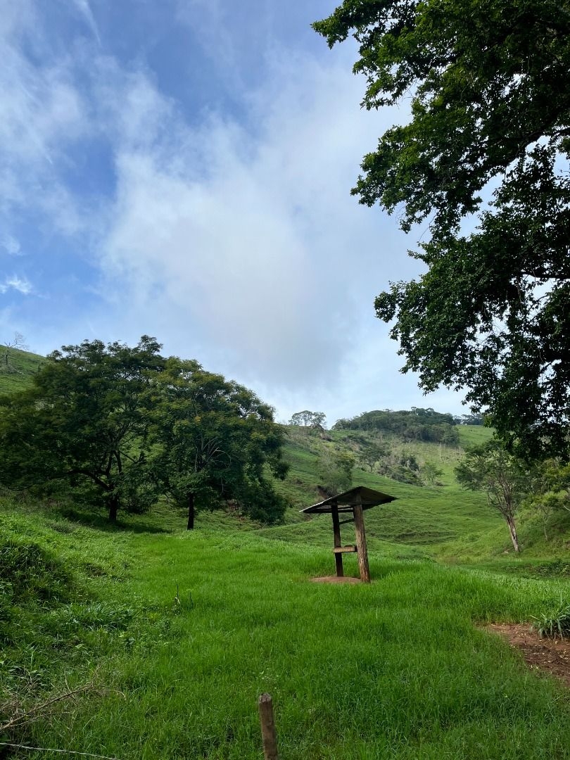 Fazenda em Leopoldina/Minas Gerais — Ref C72TO6 — Imagem 22