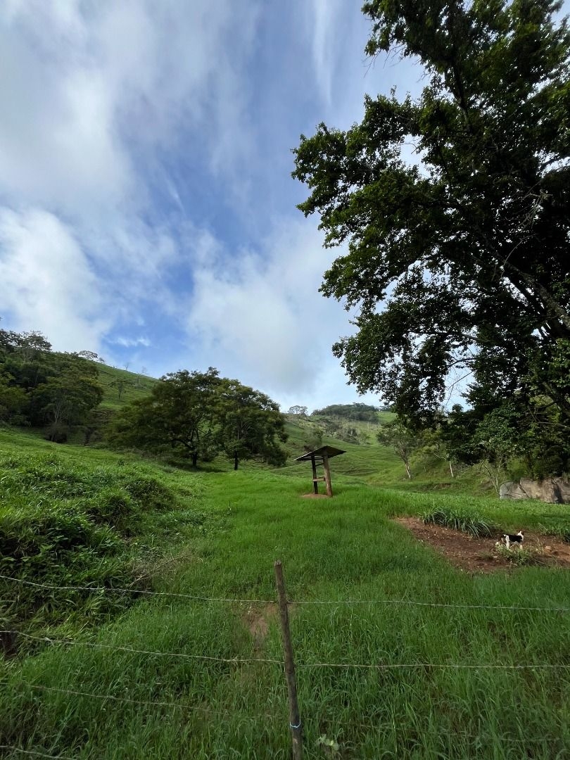 Fazenda em Leopoldina/Minas Gerais — Ref C72TO6 — Imagem 23