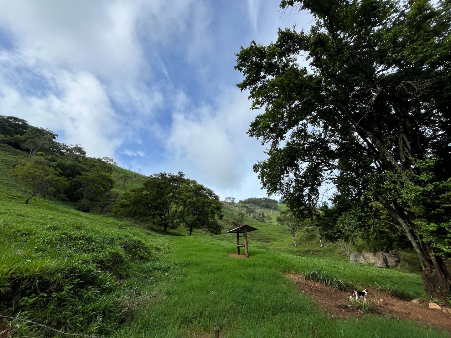 Fazenda em Leopoldina/Minas Gerais — Ref C72TO6 — Imagem 24