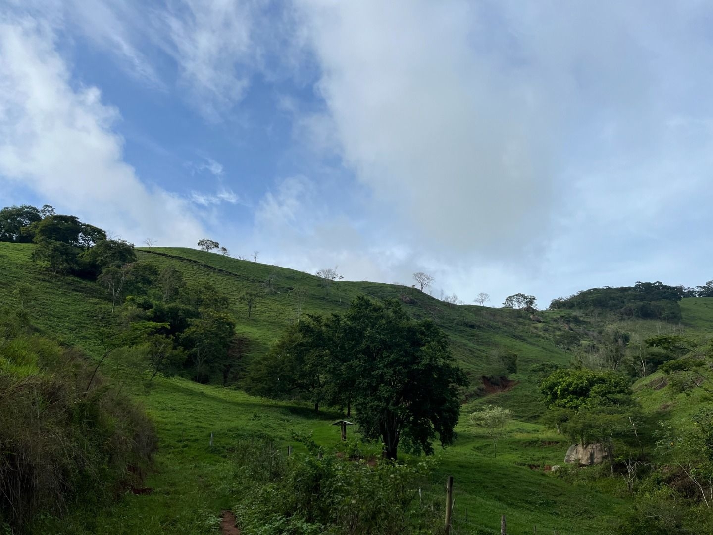 Fazenda em Leopoldina/Minas Gerais — Ref C72TO6 — Imagem 26