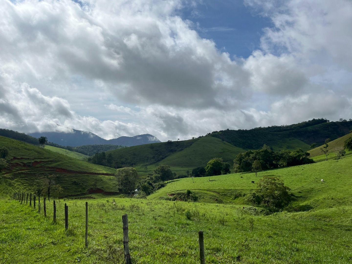 Fazenda em Leopoldina/Minas Gerais — Ref C72TO6 — Imagem 29
