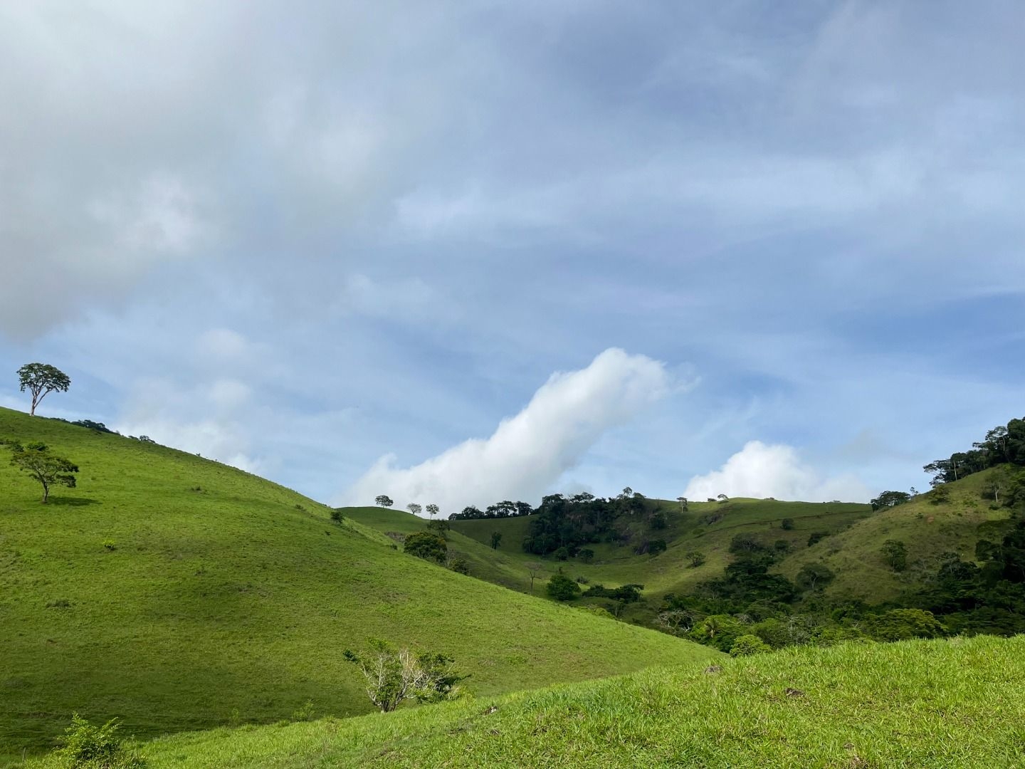 Fazenda em Leopoldina/Minas Gerais — Ref C72TO6 — Imagem 30