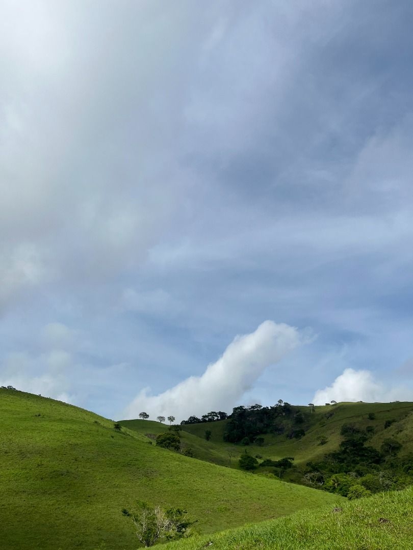 Fazenda em Leopoldina/Minas Gerais — Ref C72TO6 — Imagem 31