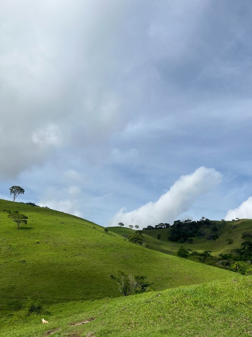 Fazenda em Leopoldina/Minas Gerais — Ref C72TO6 — Imagem 32