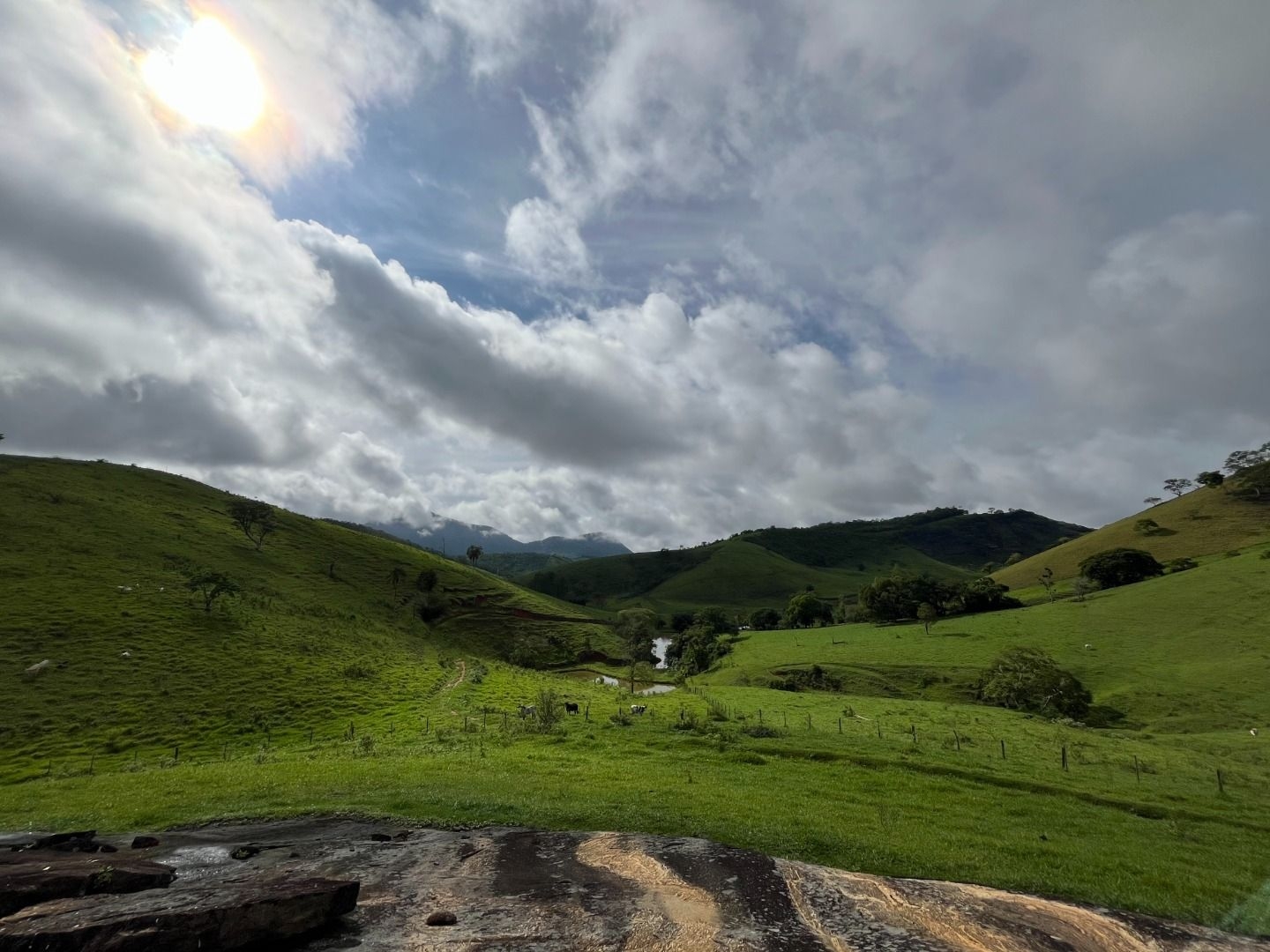 Fazenda em Leopoldina/Minas Gerais — Ref C72TO6 — Imagem 33