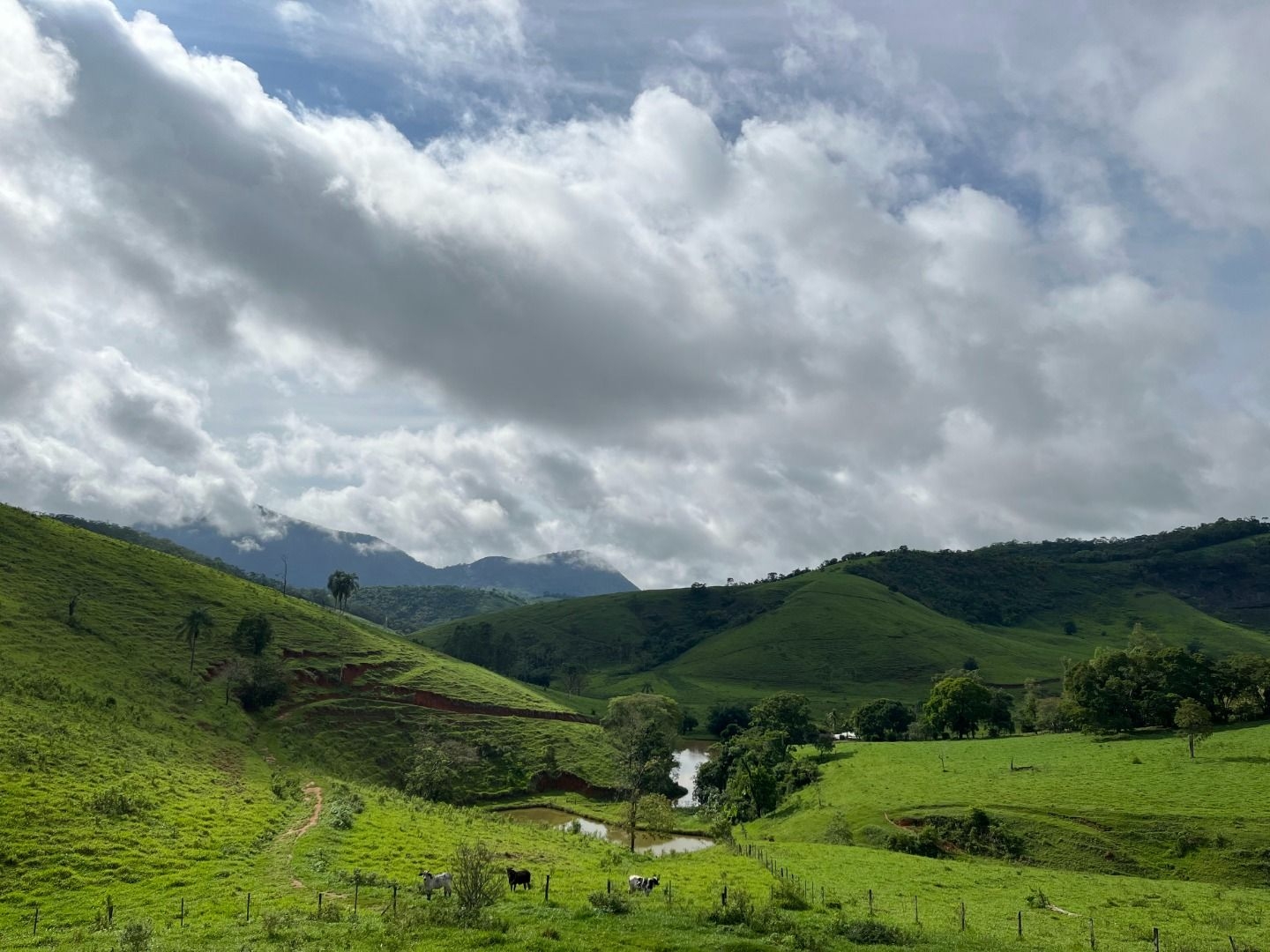Fazenda em Leopoldina/Minas Gerais — Ref C72TO6 — Imagem 34
