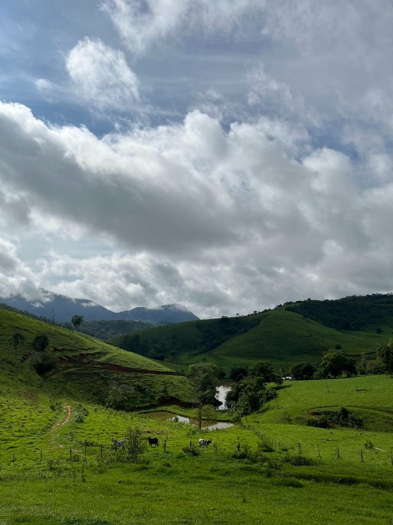 Fazenda em Leopoldina/Minas Gerais — Ref C72TO6 — Imagem 35