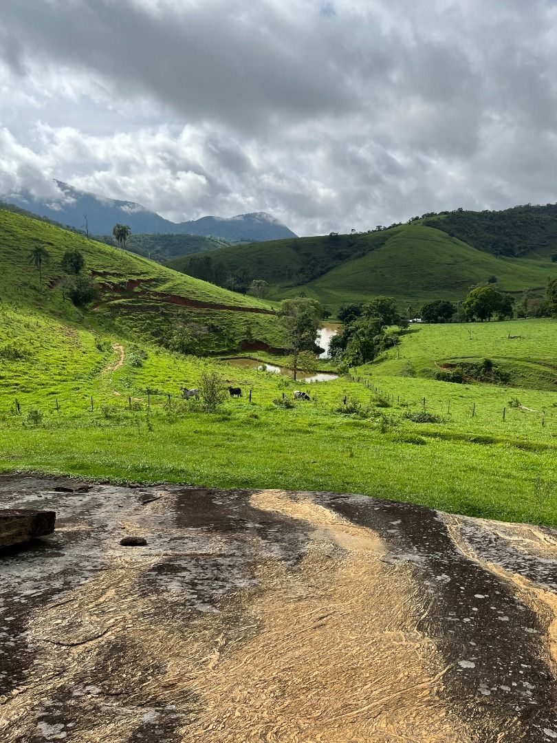 Fazenda em Leopoldina/Minas Gerais — Ref C72TO6 — Imagem 37