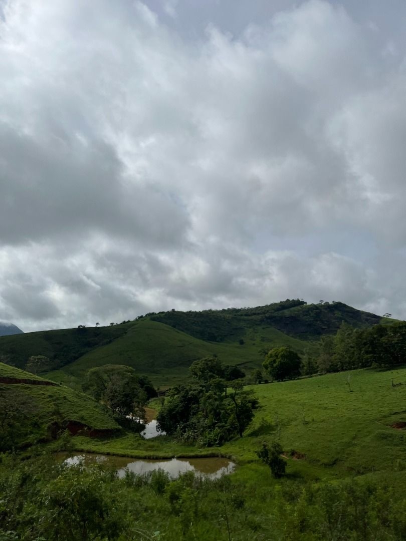 Fazenda em Leopoldina/Minas Gerais — Ref C72TO6 — Imagem 38