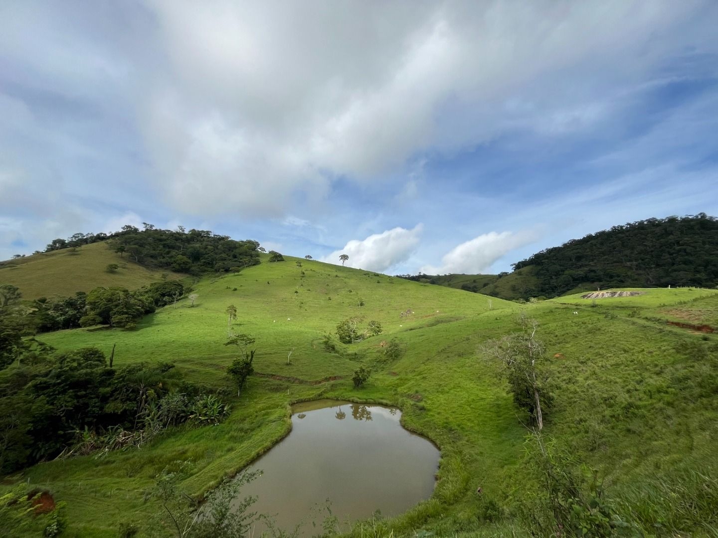Fazenda em Leopoldina/Minas Gerais — Ref C72TO6 — Imagem 40