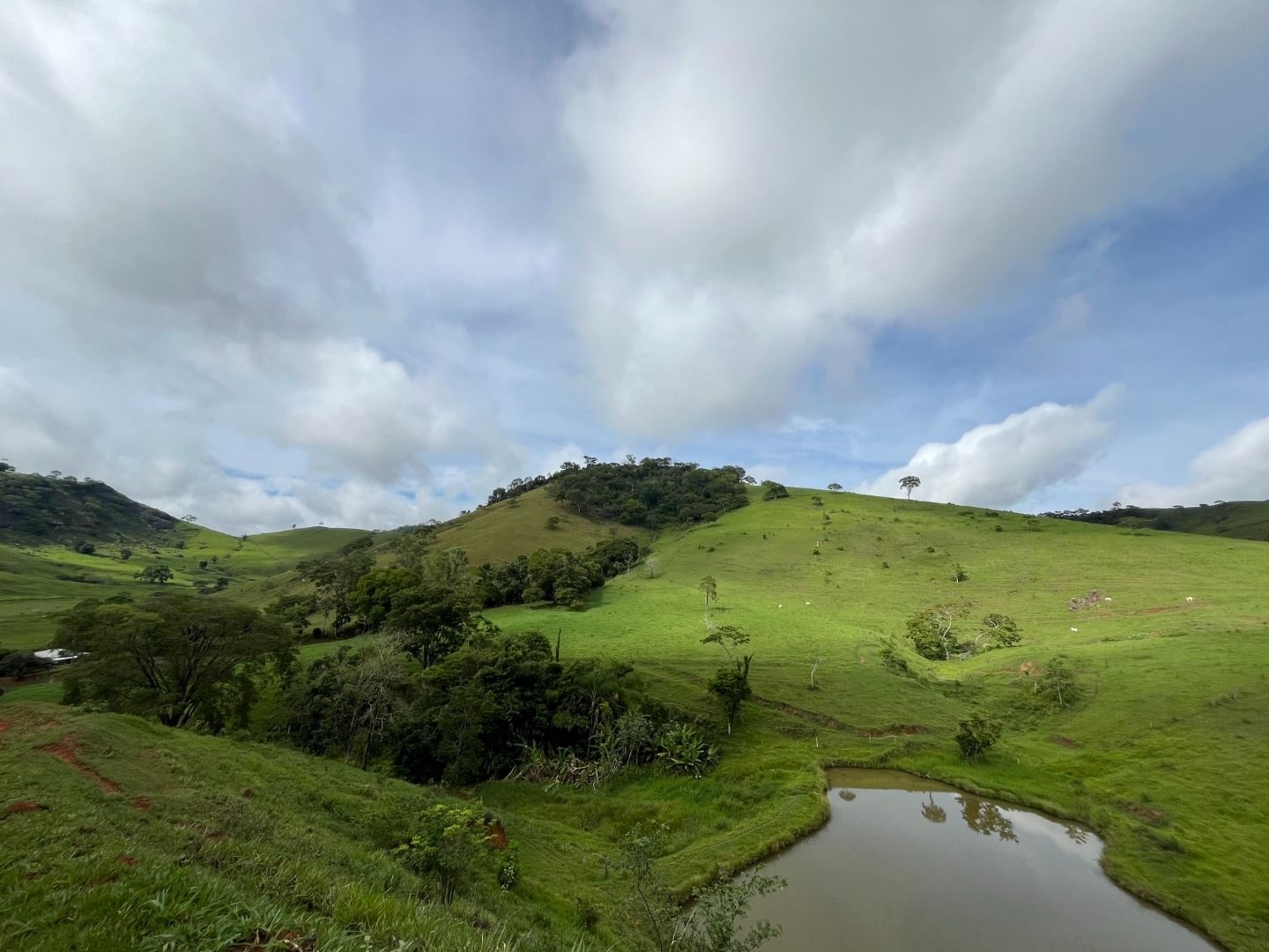 Fazenda em Leopoldina/Minas Gerais — Ref C72TO6 — Imagem 41
