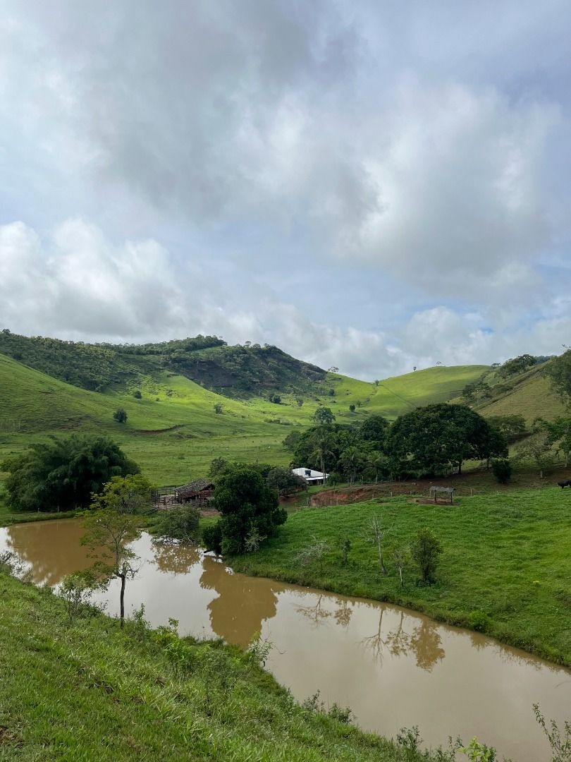 Fazenda em Leopoldina/Minas Gerais — Ref C72TO6 — Imagem 42