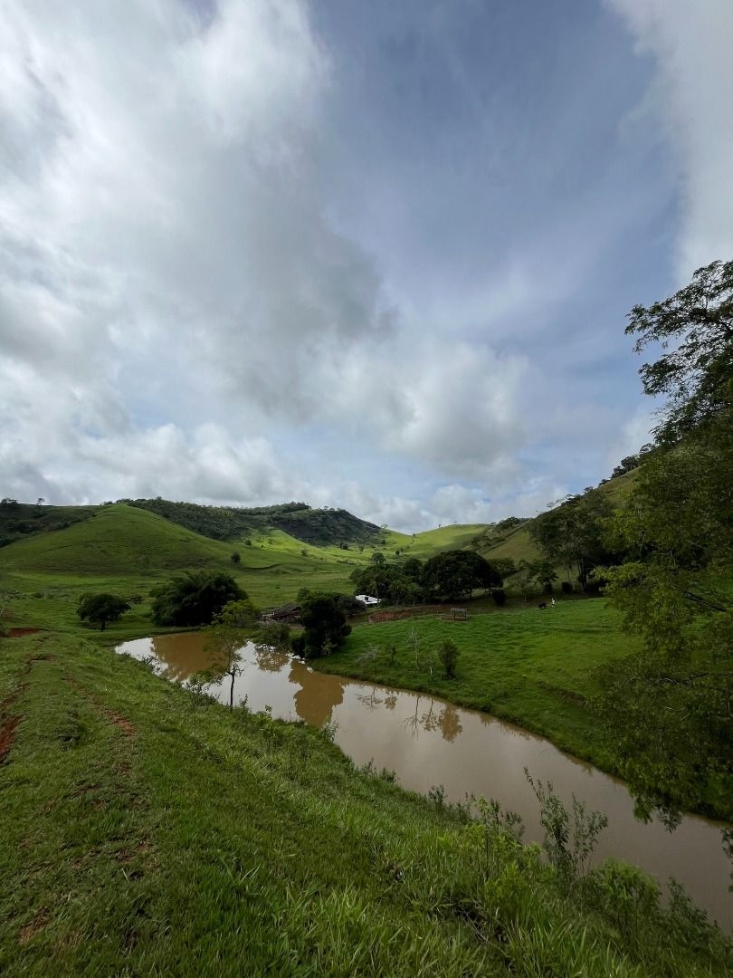 Fazenda em Leopoldina/Minas Gerais — Ref C72TO6 — Imagem 43