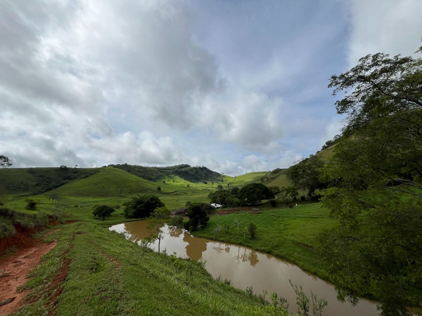 Fazenda em Leopoldina/Minas Gerais — Ref C72TO6 — Imagem 44