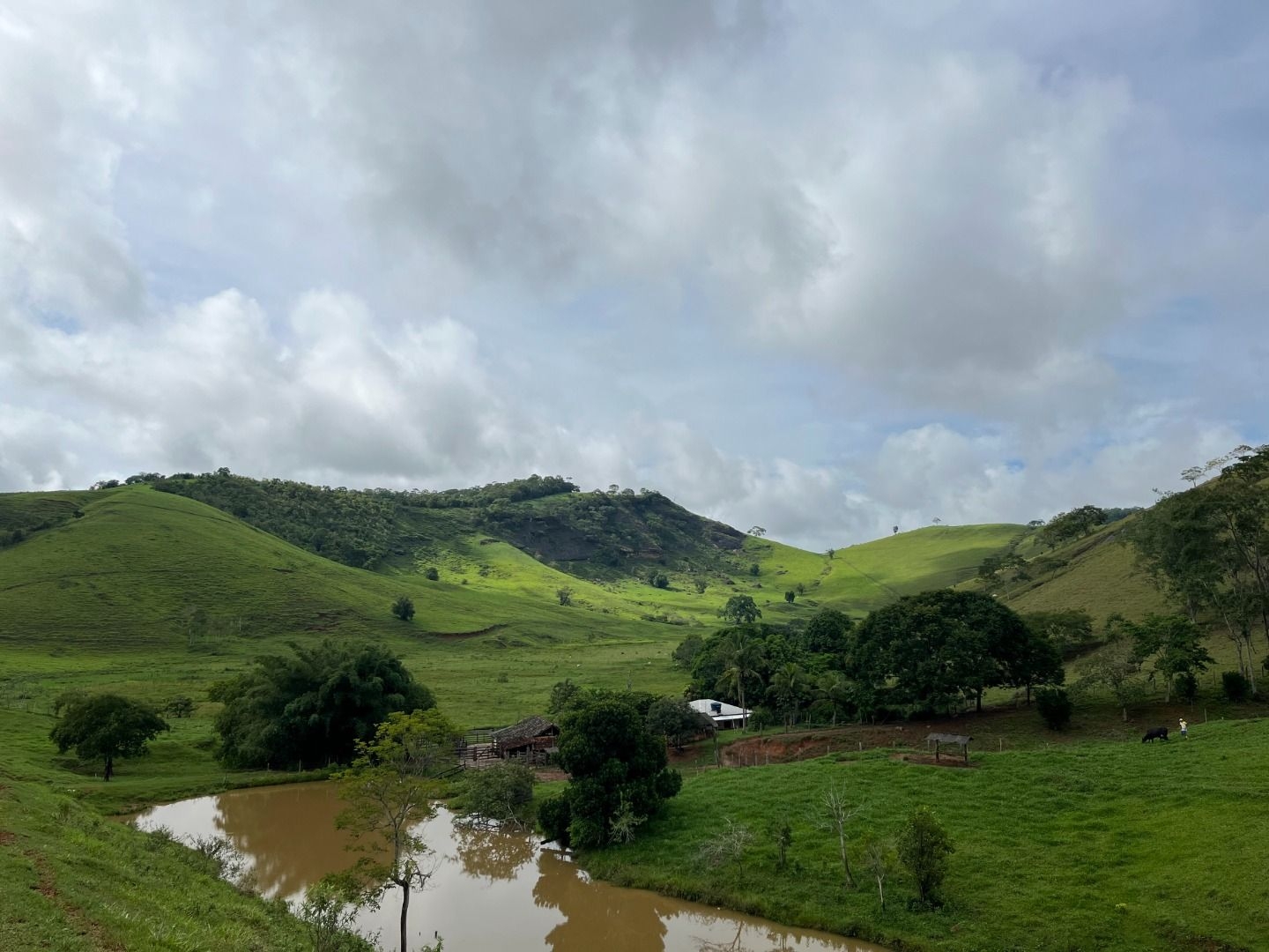 Fazenda em Leopoldina/Minas Gerais — Ref C72TO6 — Imagem 45