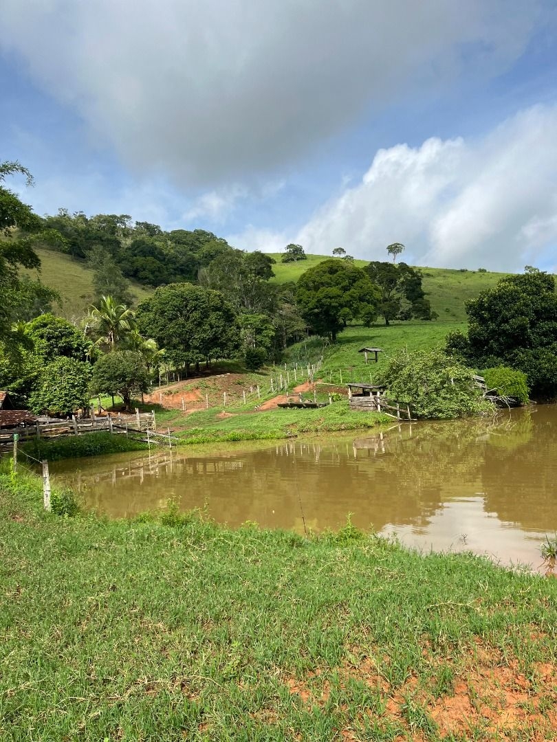 Fazenda em Leopoldina/Minas Gerais — Ref C72TO6 — Imagem 46