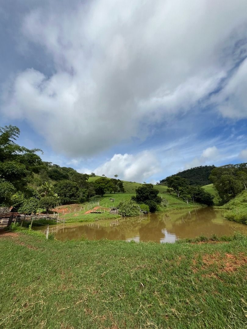 Fazenda em Leopoldina/Minas Gerais — Ref C72TO6 — Imagem 47