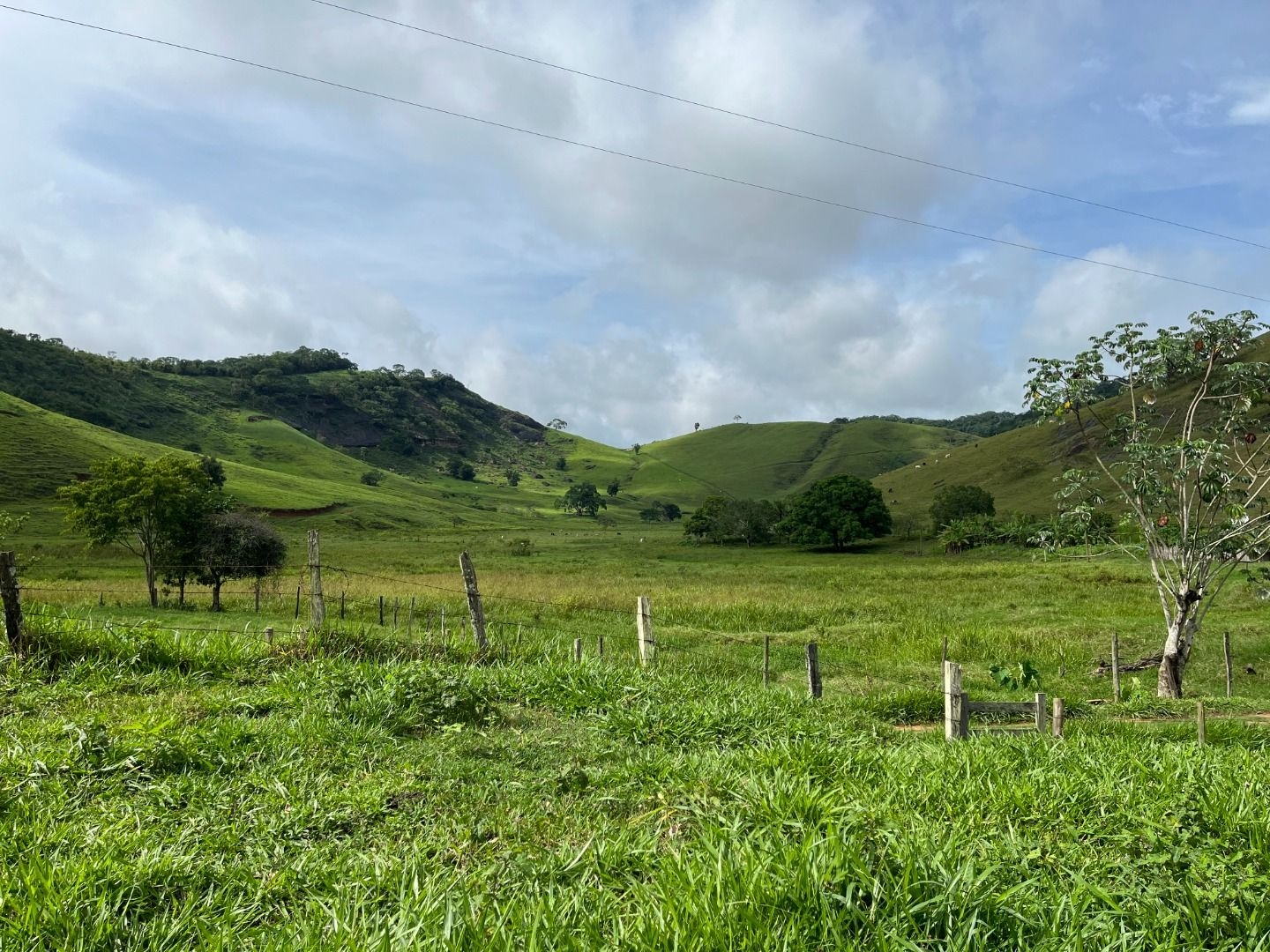 Fazenda em Leopoldina/Minas Gerais — Ref C72TO6 — Imagem 48