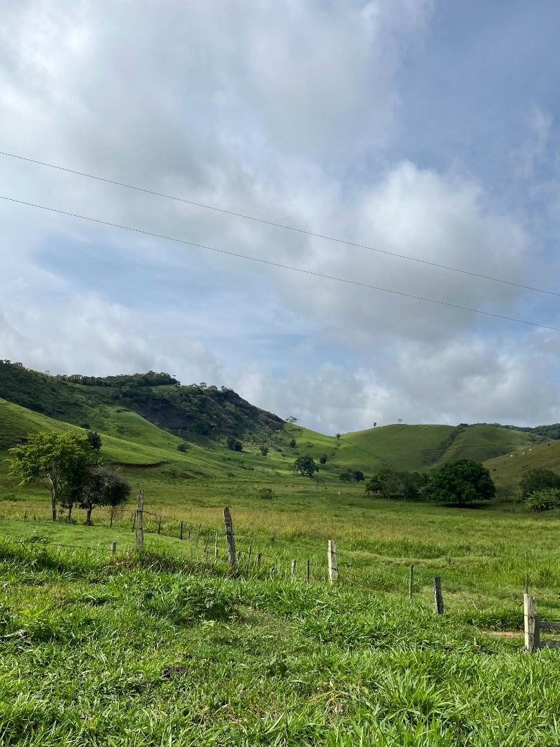 Fazenda em Leopoldina/Minas Gerais — Ref C72TO6 — Imagem 49