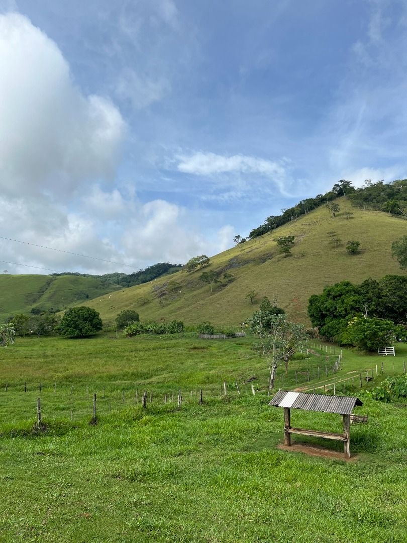 Fazenda em Leopoldina/Minas Gerais — Ref C72TO6 — Imagem 50