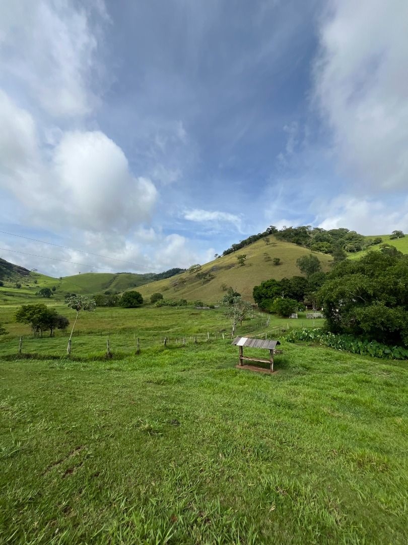 Fazenda em Leopoldina/Minas Gerais — Ref C72TO6 — Imagem 51