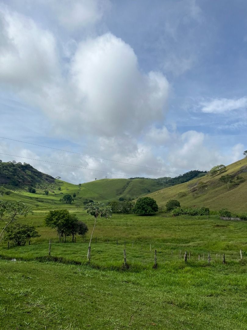 Fazenda em Leopoldina/Minas Gerais — Ref C72TO6 — Imagem 52
