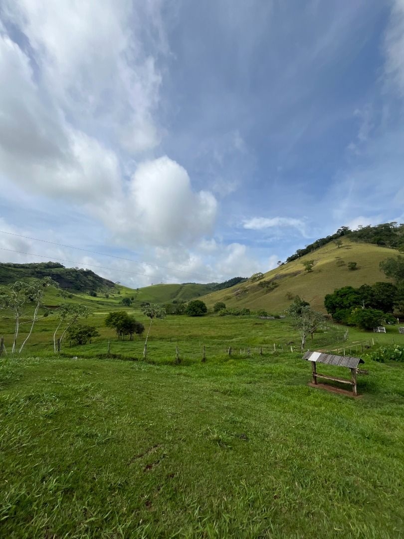 Fazenda em Leopoldina/Minas Gerais — Ref C72TO6 — Imagem 53