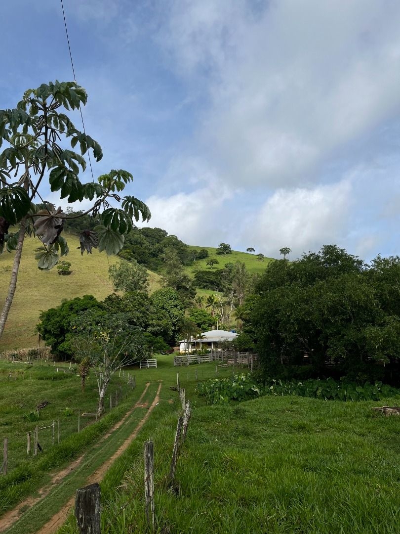 Fazenda em Leopoldina/Minas Gerais — Ref C72TO6 — Imagem 55