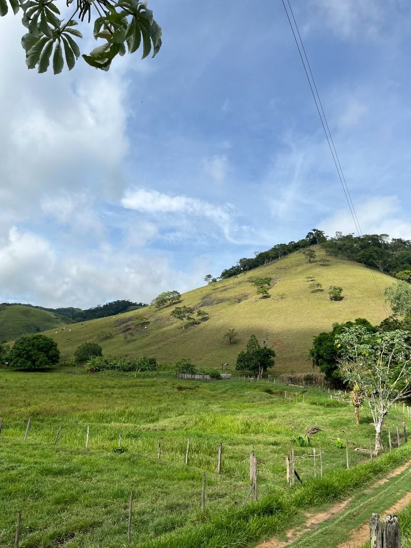 Fazenda em Leopoldina/Minas Gerais — Ref C72TO6 — Imagem 58