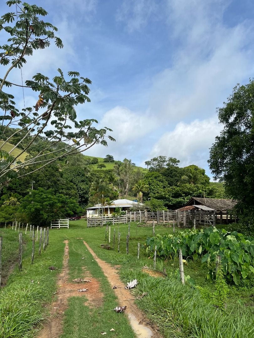 Fazenda em Leopoldina/Minas Gerais — Ref C72TO6 — Imagem 59