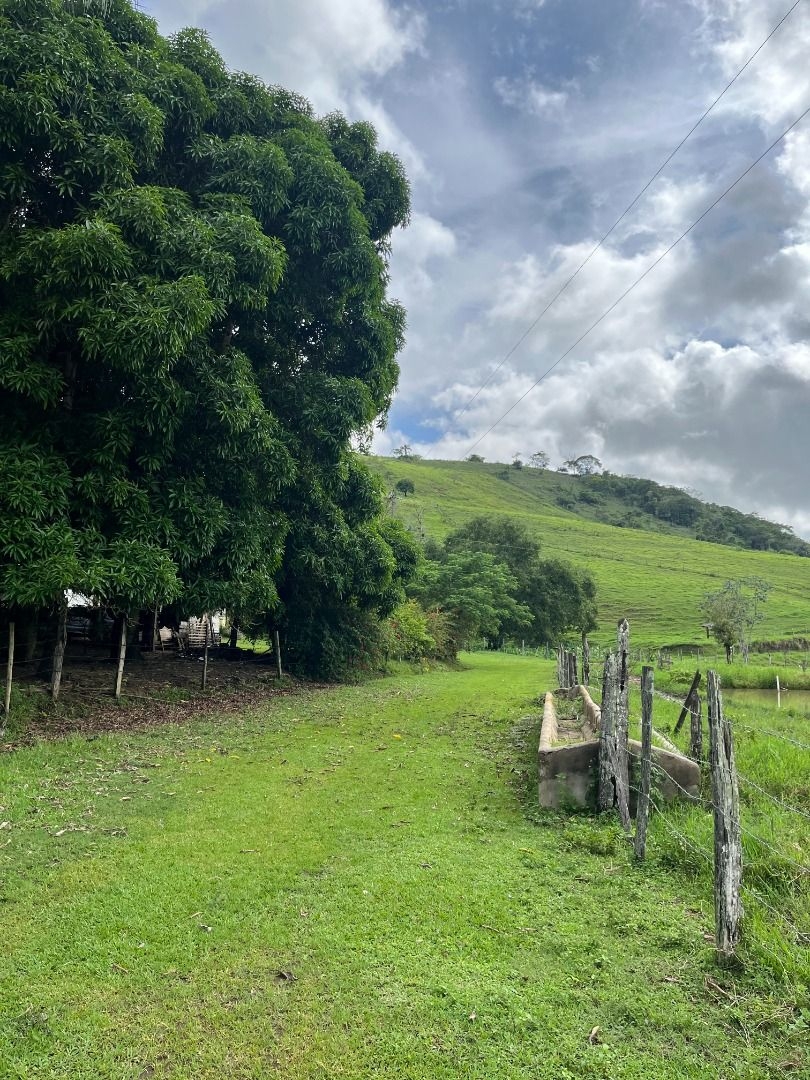 Fazenda em Leopoldina/Minas Gerais — Ref C72TO6 — Imagem 65
