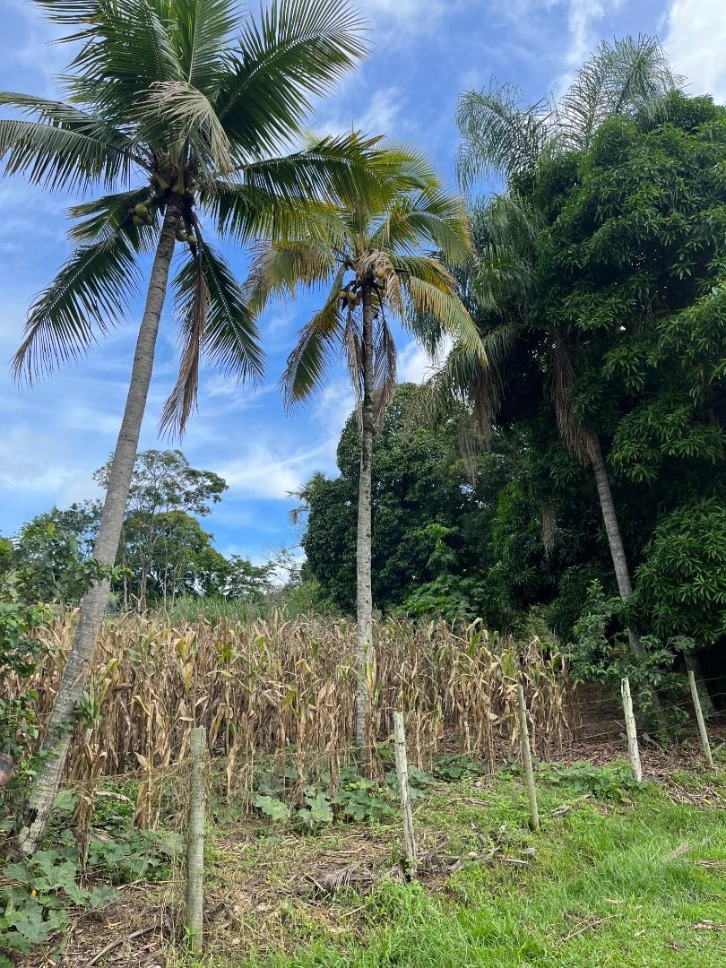 Fazenda em Leopoldina/Minas Gerais — Ref C72TO6 — Imagem 66