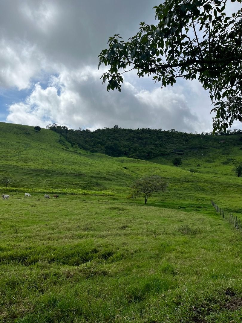 Fazenda em Leopoldina/Minas Gerais — Ref C72TO6 — Imagem 67