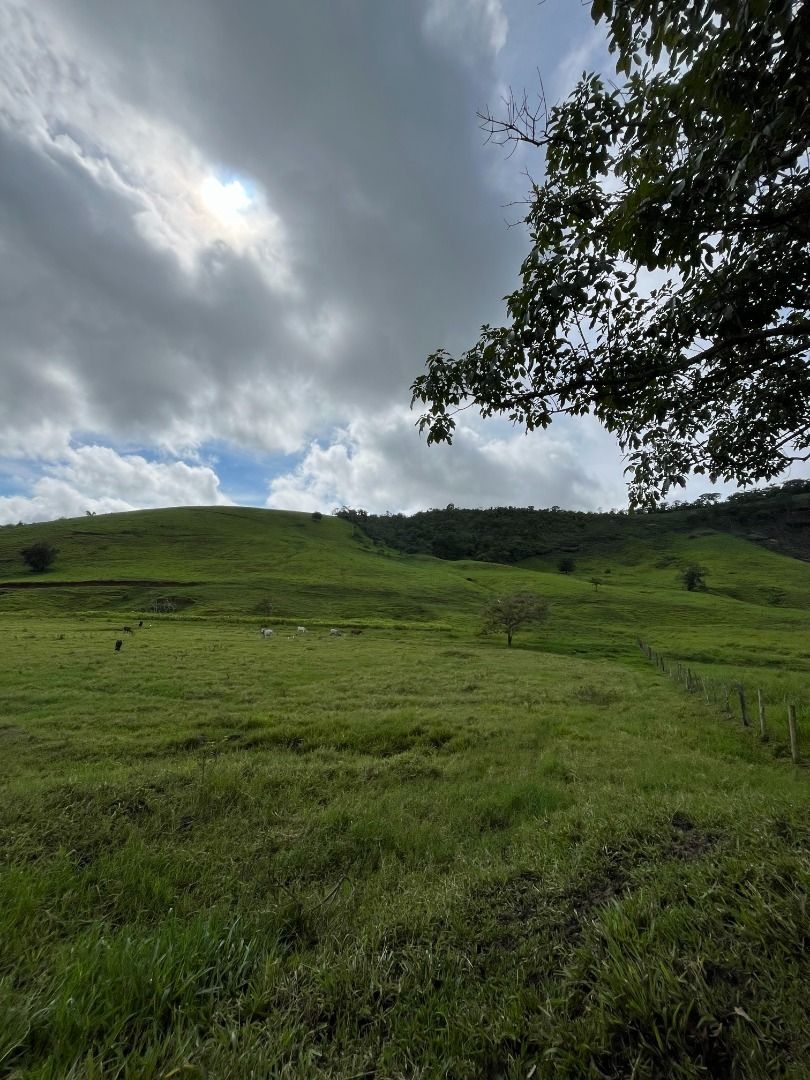 Fazenda em Leopoldina/Minas Gerais — Ref C72TO6 — Imagem 68