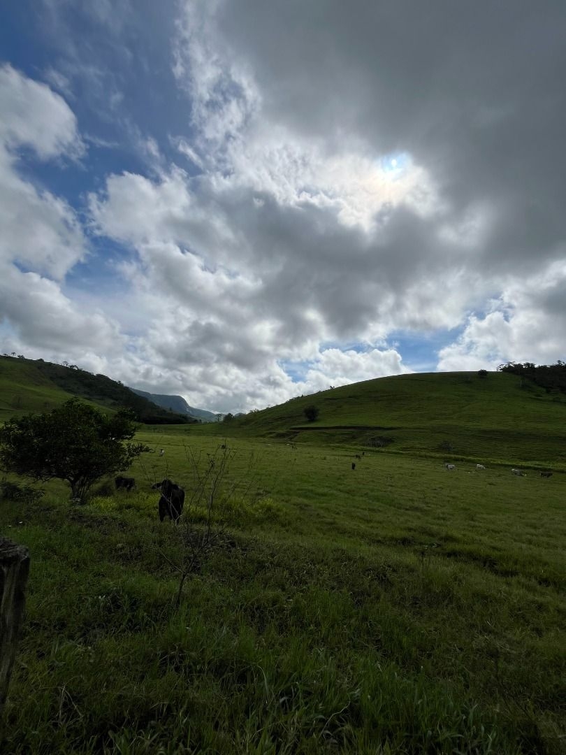 Fazenda em Leopoldina/Minas Gerais — Ref C72TO6 — Imagem 69
