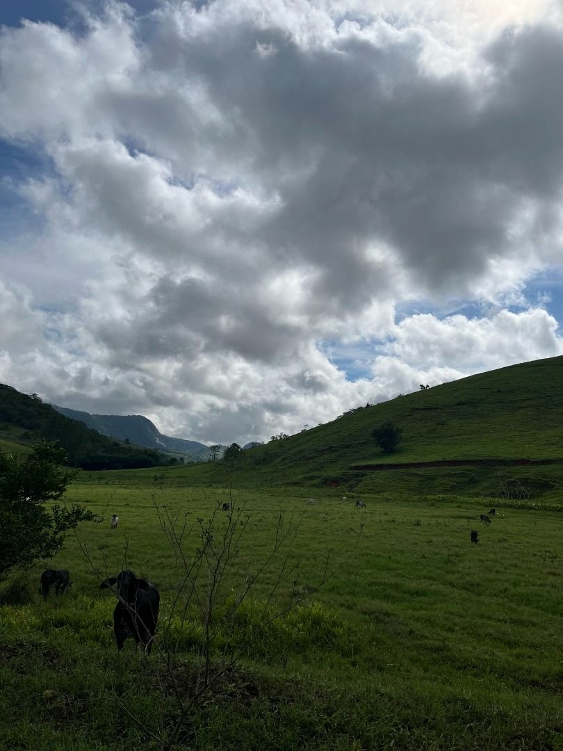 Fazenda em Leopoldina/Minas Gerais — Ref C72TO6 — Imagem 70