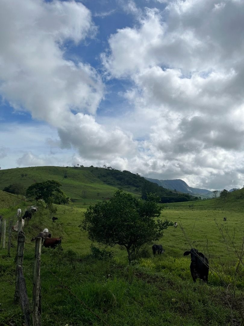 Fazenda em Leopoldina/Minas Gerais — Ref C72TO6 — Imagem 71