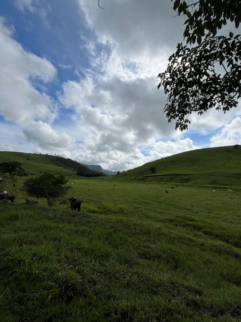 Fazenda em Leopoldina/Minas Gerais — Ref C72TO6 — Imagem 73