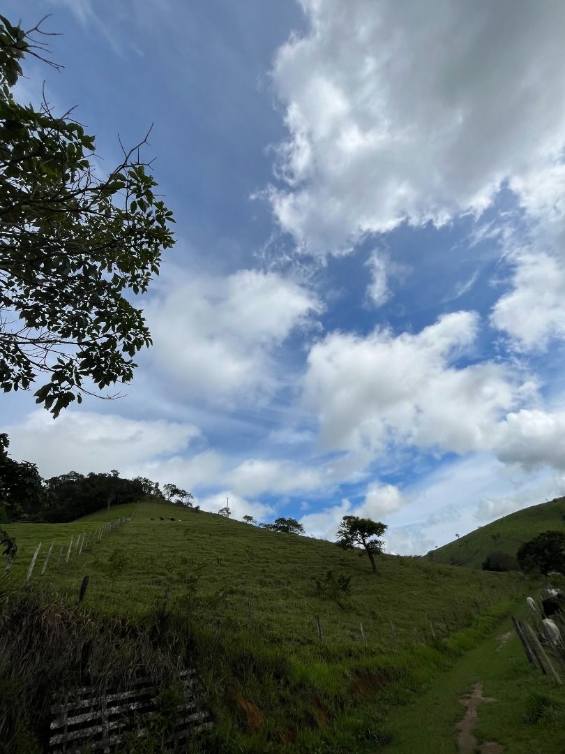 Fazenda em Leopoldina/Minas Gerais — Ref C72TO6 — Imagem 76