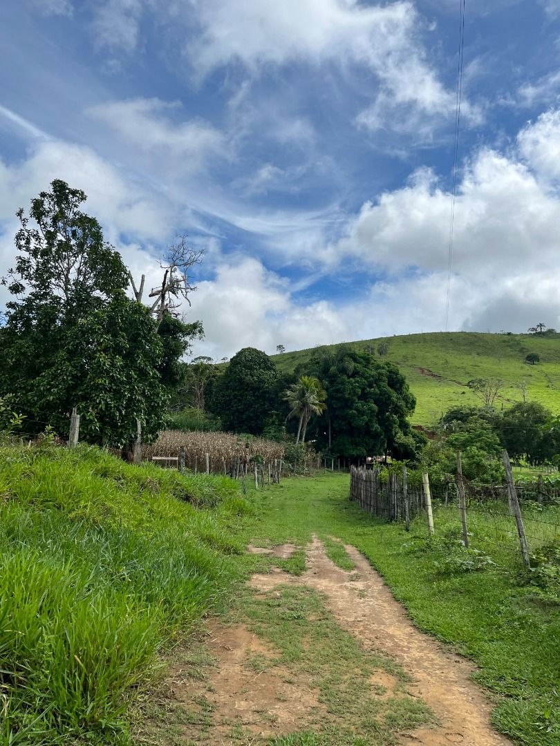 Fazenda em Leopoldina/Minas Gerais — Ref C72TO6 — Imagem 77