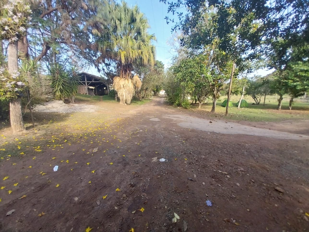 Fazenda-Sítio-Chácara, 200 m² - Foto 4