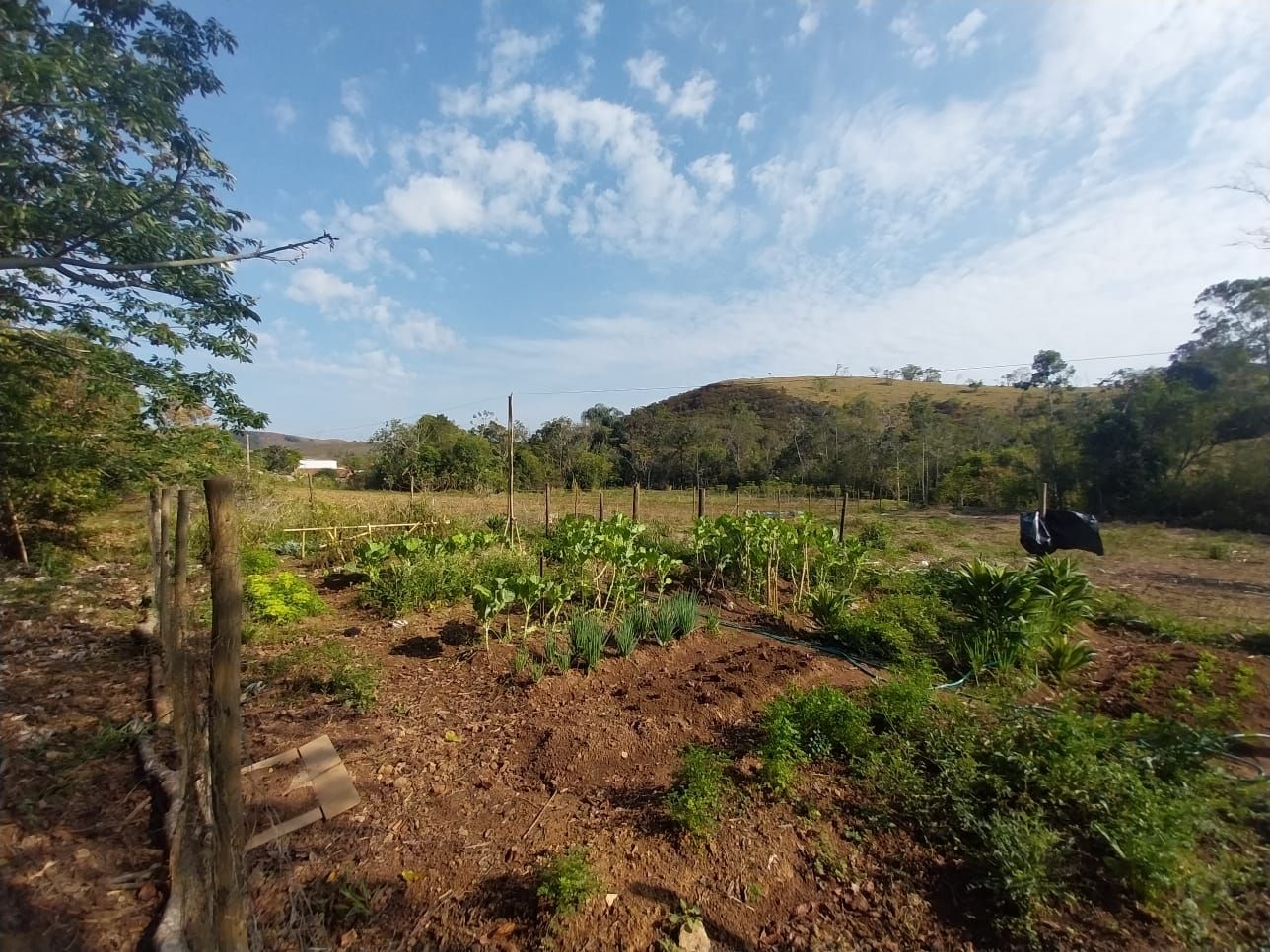 Fazenda-Sítio-Chácara, 200 m² - Foto 5