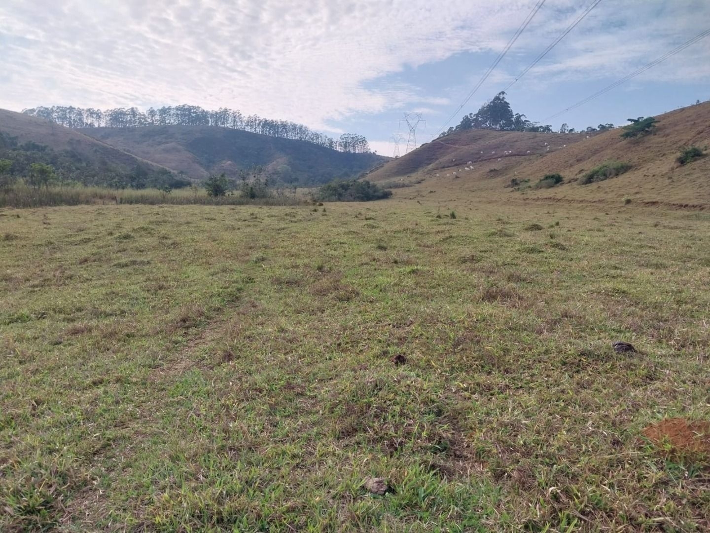 Fazenda, 200 m² - Foto 6