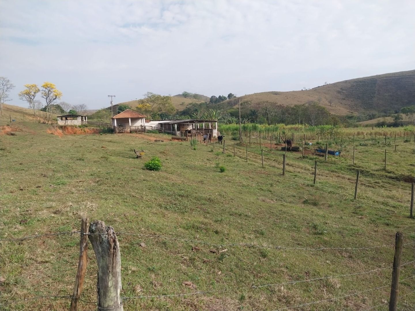 Fazenda, 200 m² - Foto 10